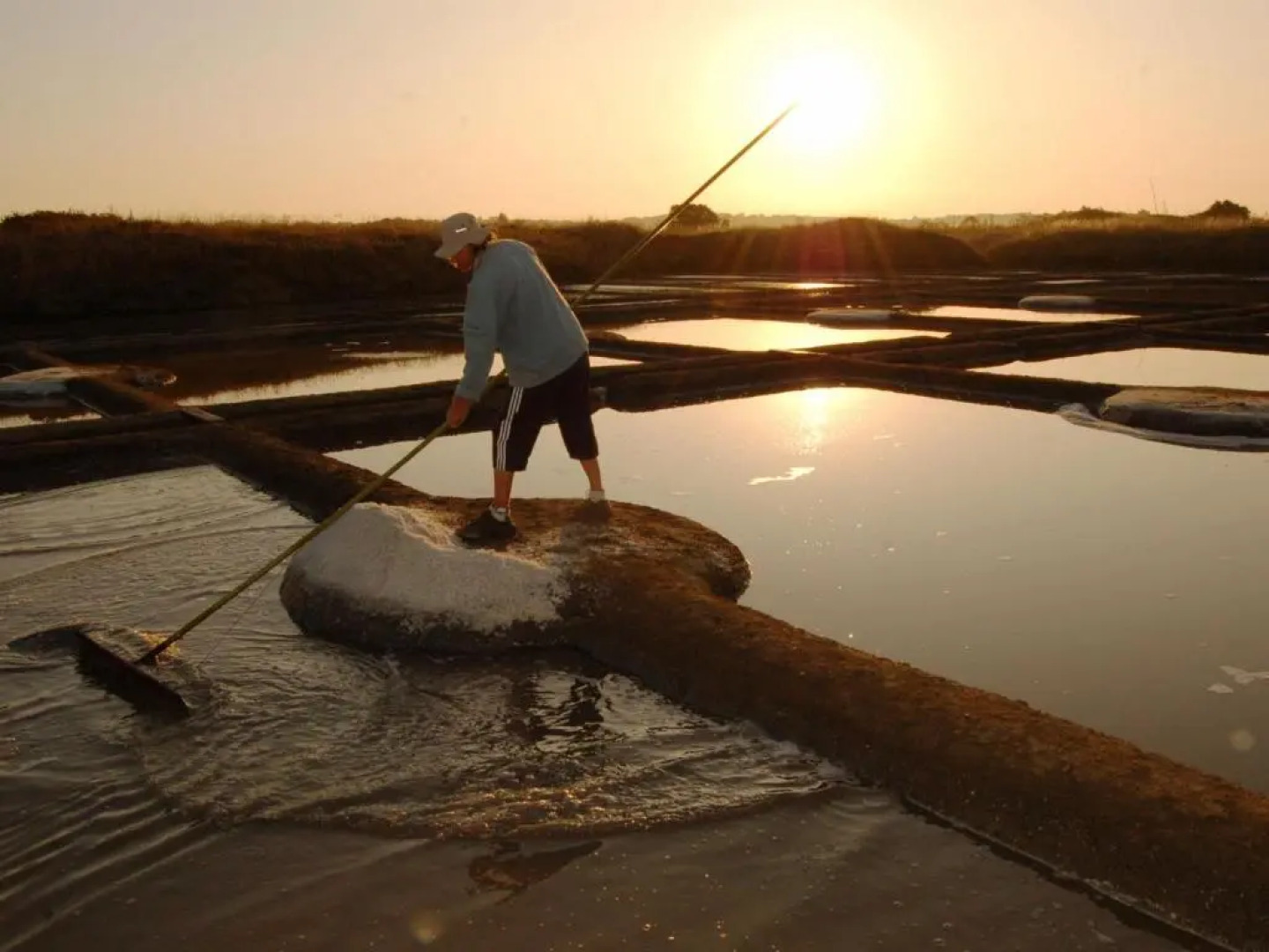 Appartement Piriac-sur-Mer, 2 pièces, 3 personnes - FR-1-306-1188