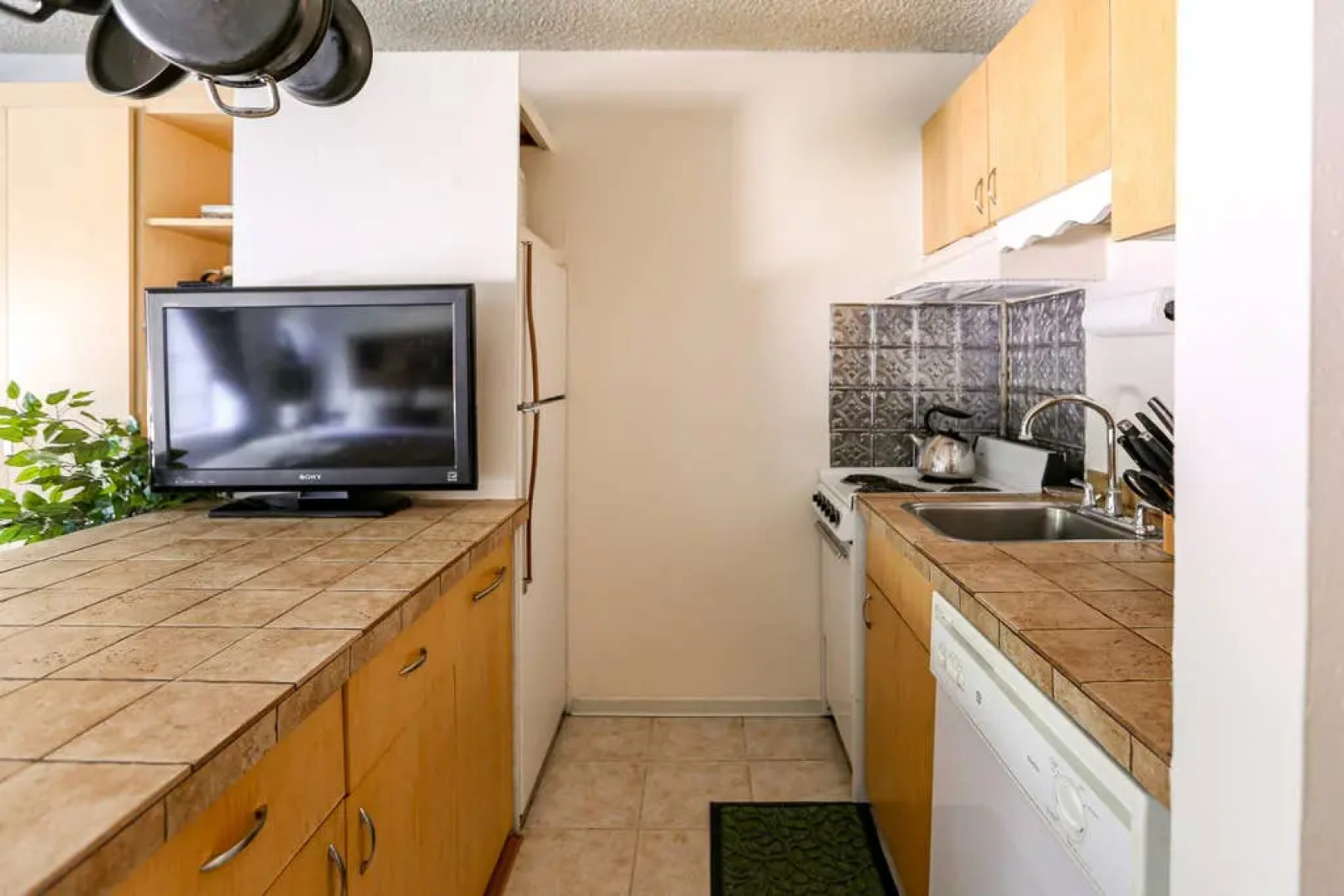 HOLT - Glorious & Rugged Heart of Aspen Studio