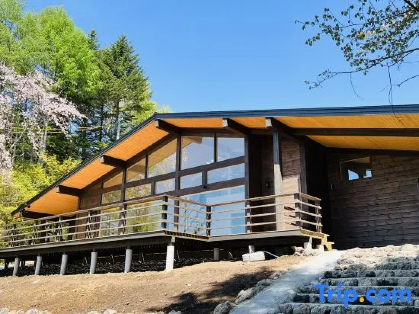 Terrace Villa Foresta Asama