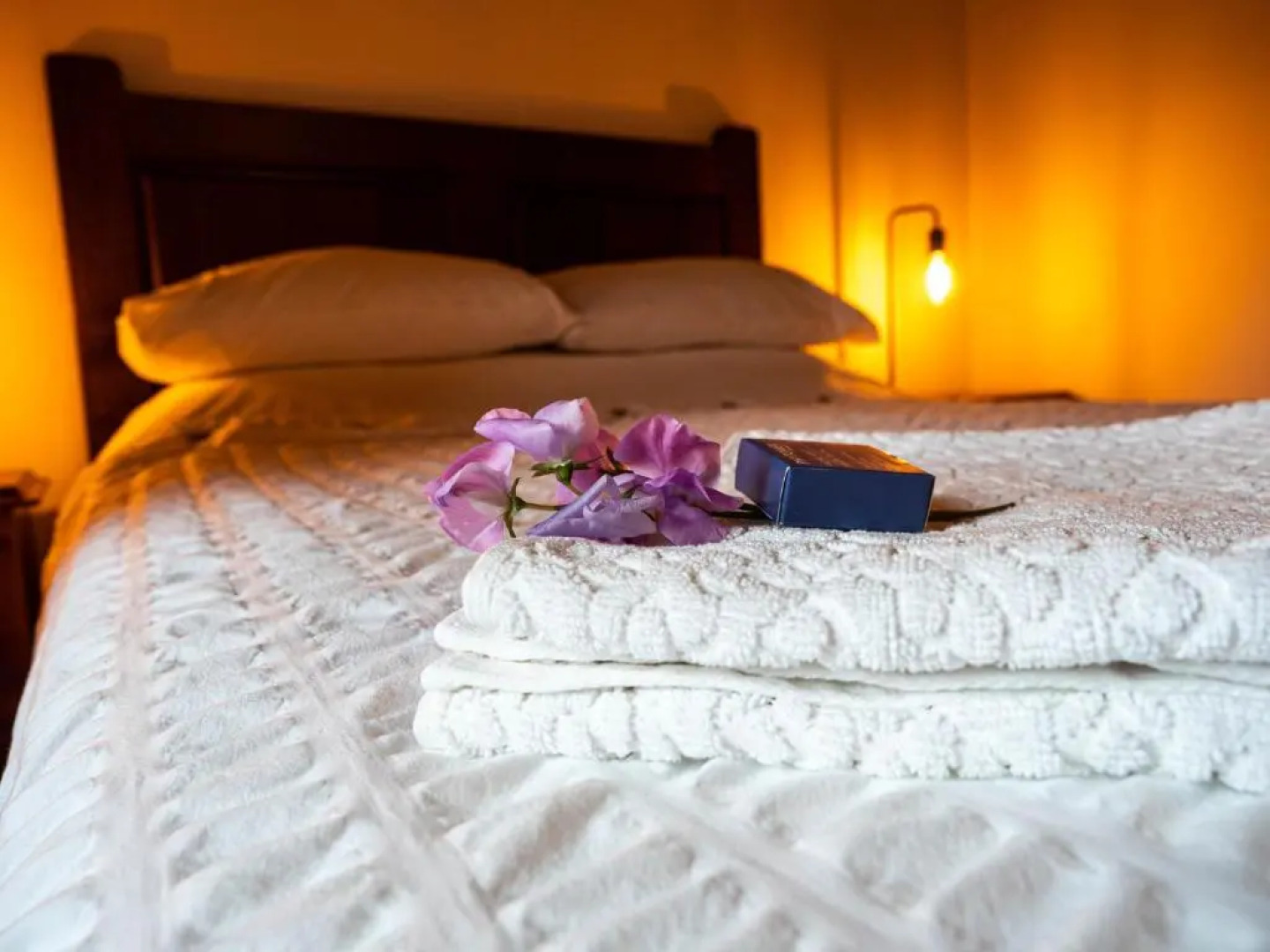 Casas Do Favacal - a Traditional Xisto House