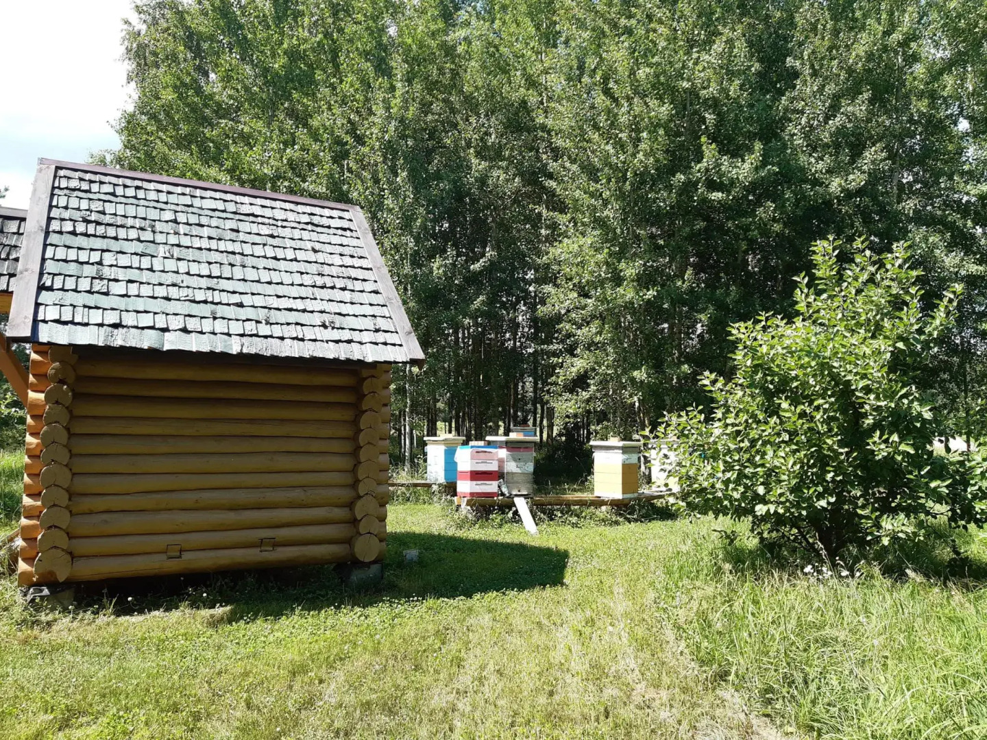 Дом в деревне Чернокуново