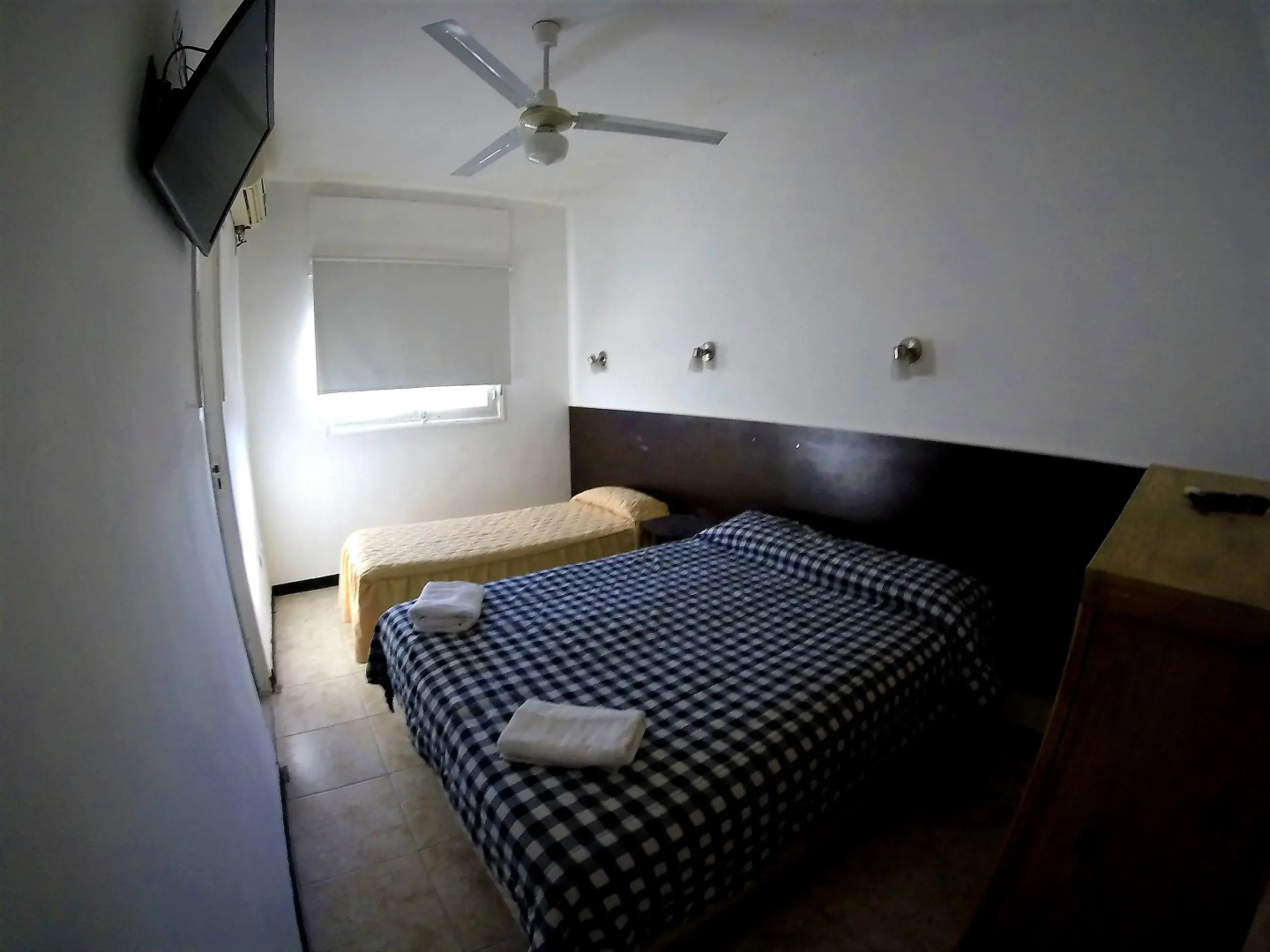 Estrella Andina