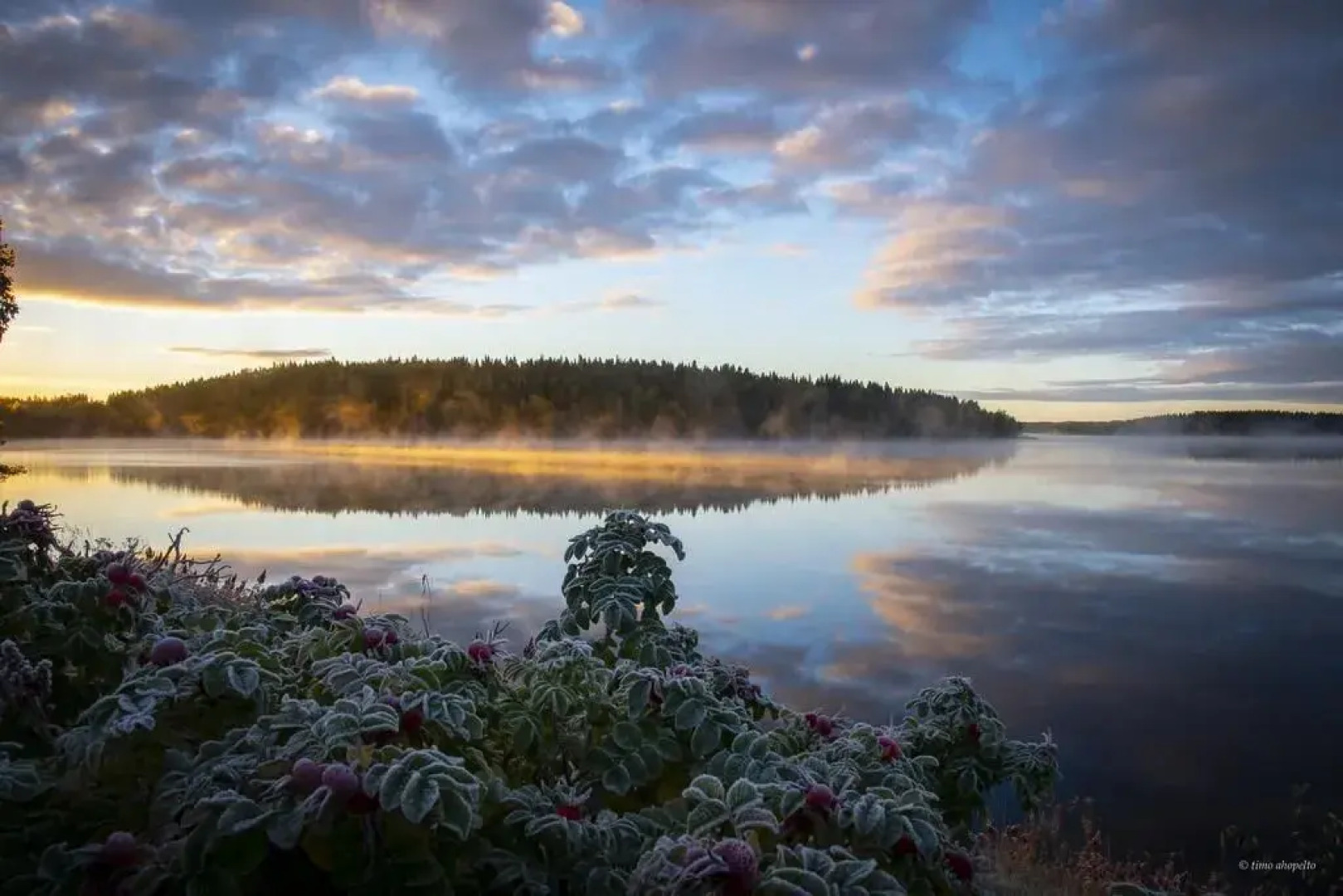 Hotelli Mesikämmen Oy