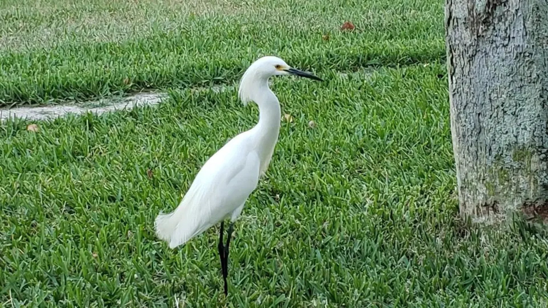 Runaway Bay Resort by BBG
