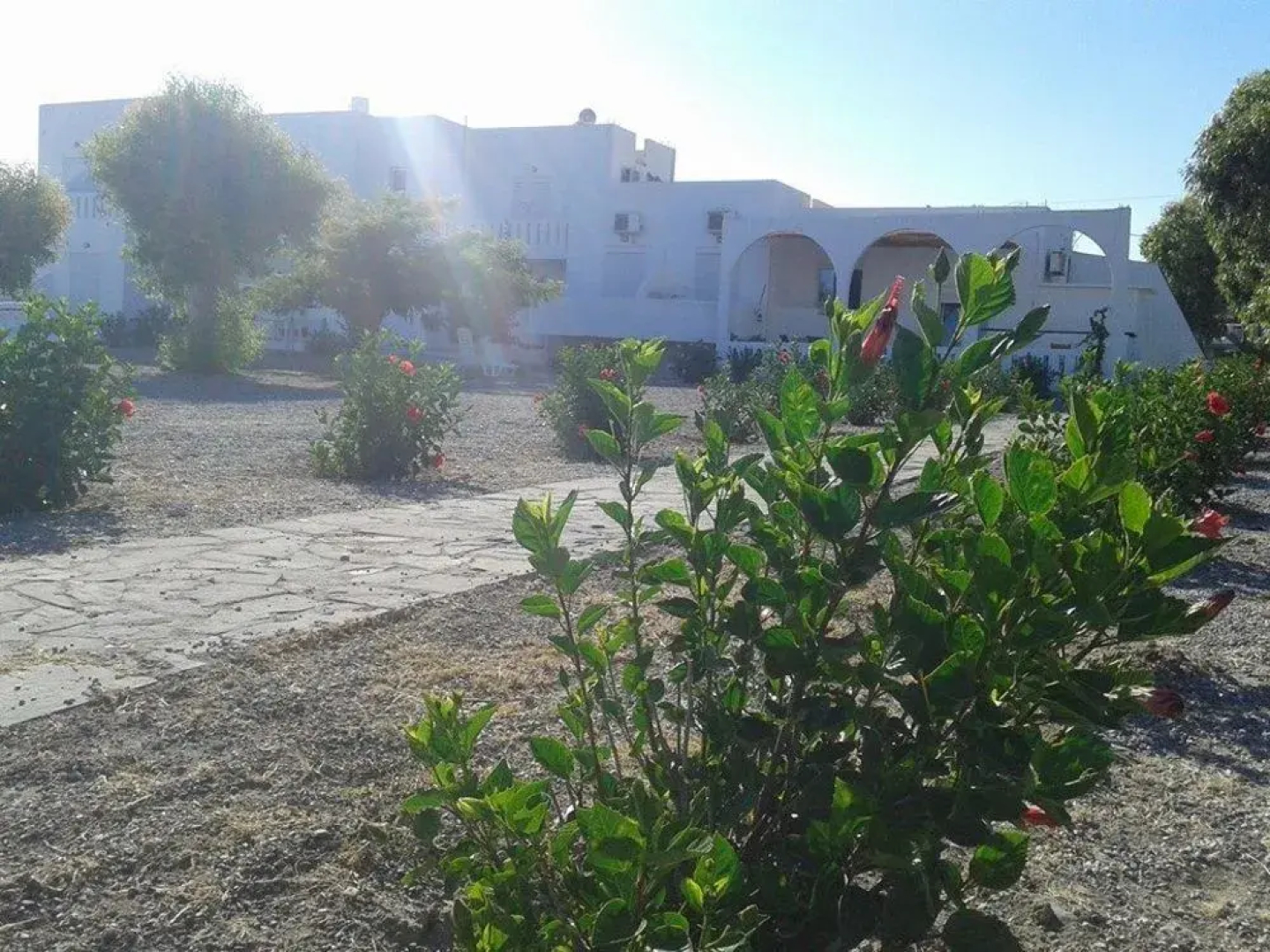 Kiotari Beach Apartments - Studios