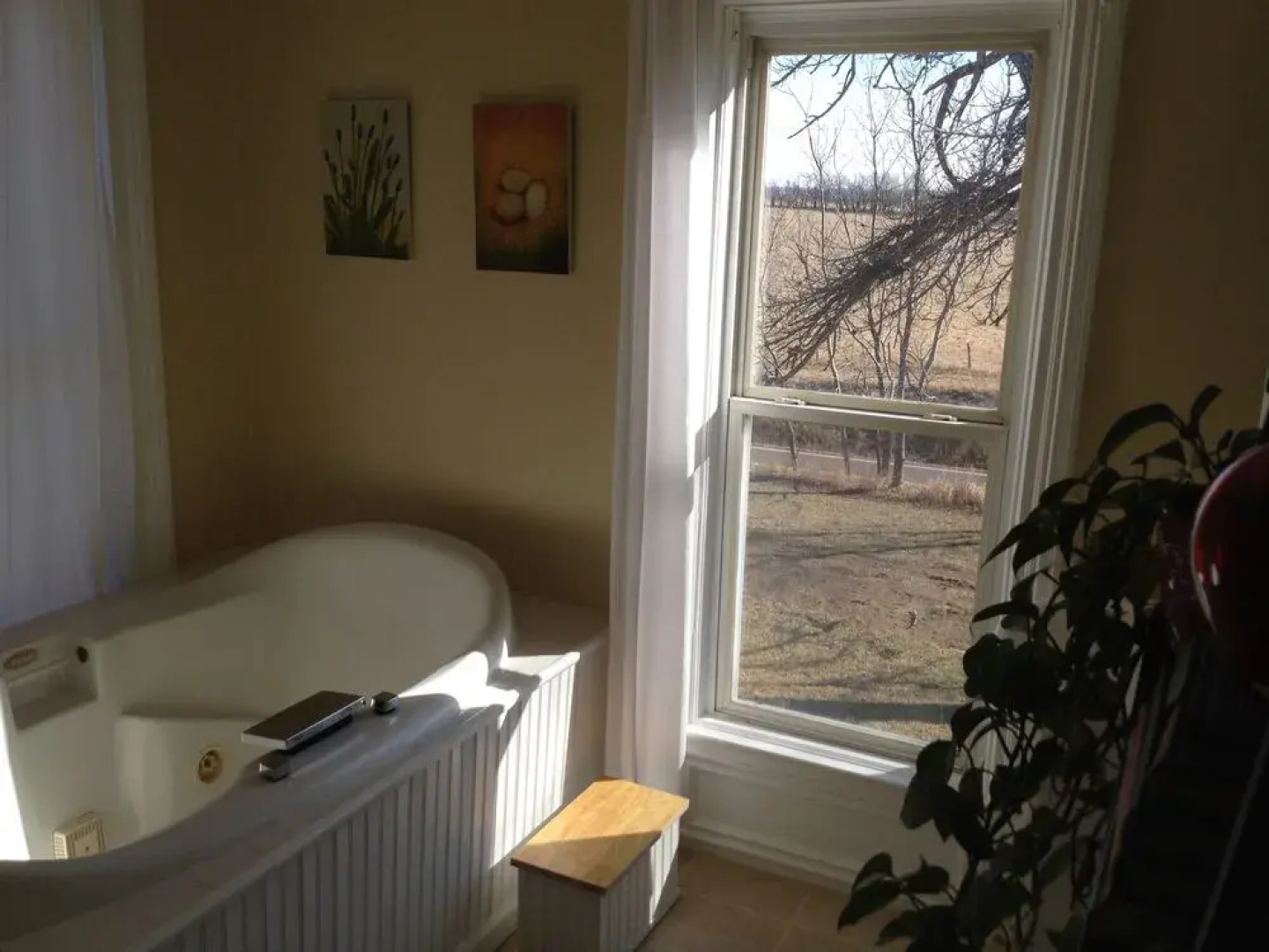 Netherfield Natural Farm