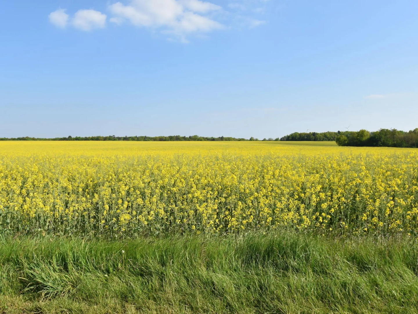 Romantic Gîte in Quiet Village for Champagne Lovers
