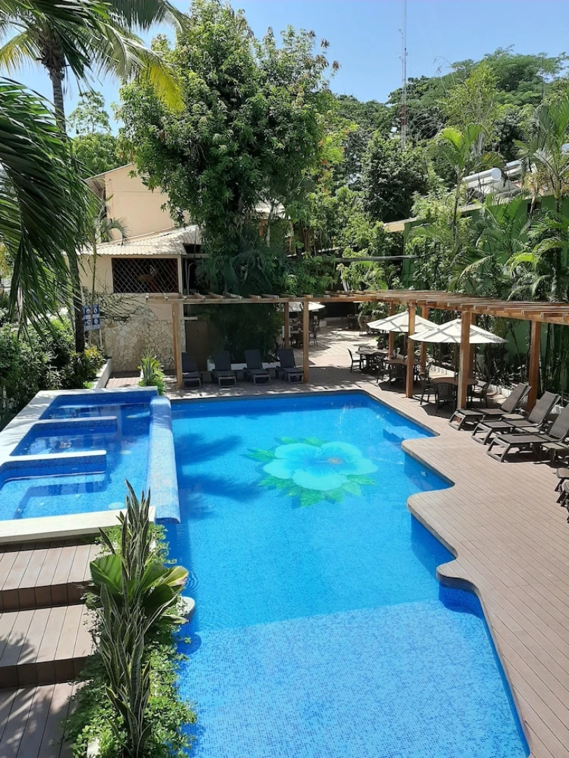 Maya Tulipanes Express