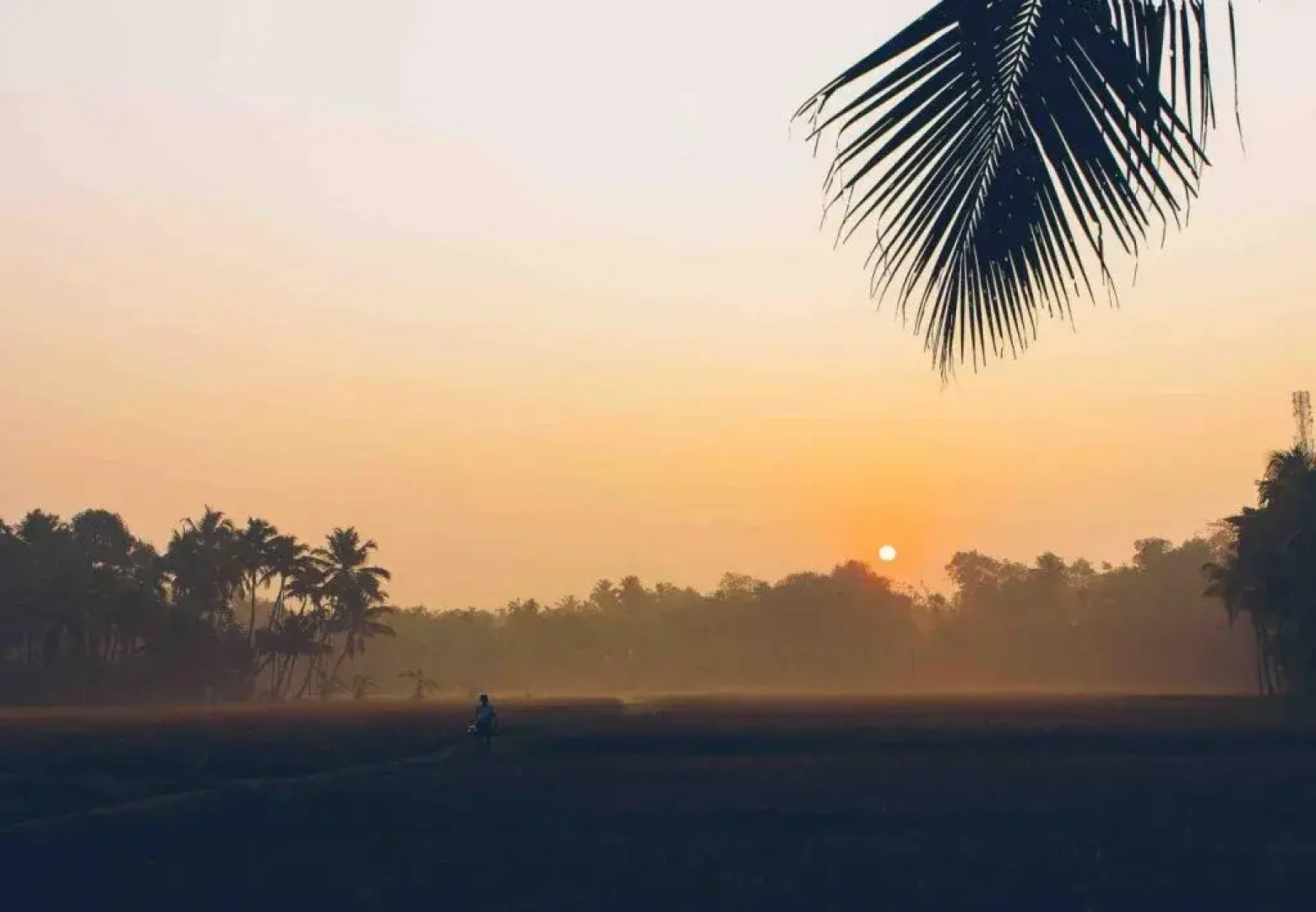 Hinterland Village Resort