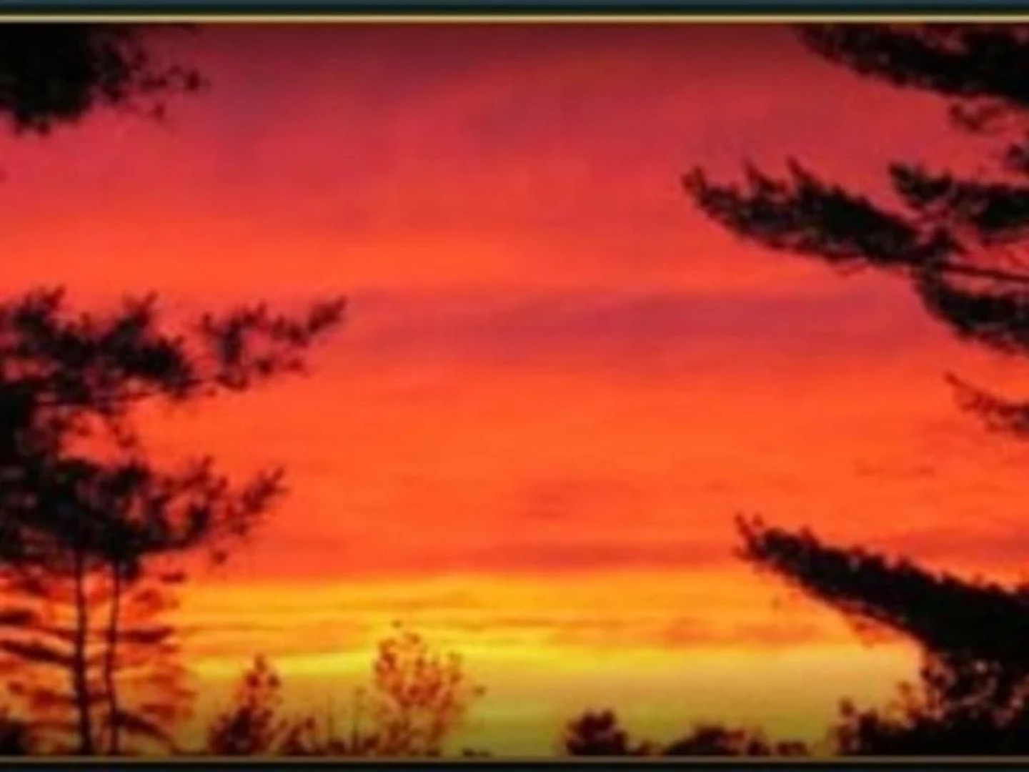 Cannon Mountain View Motel