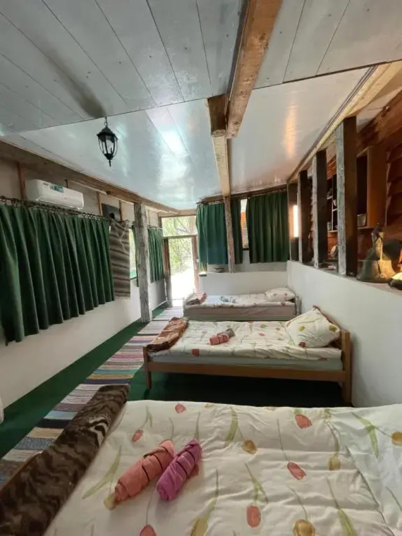 NINO Natural wood house 1