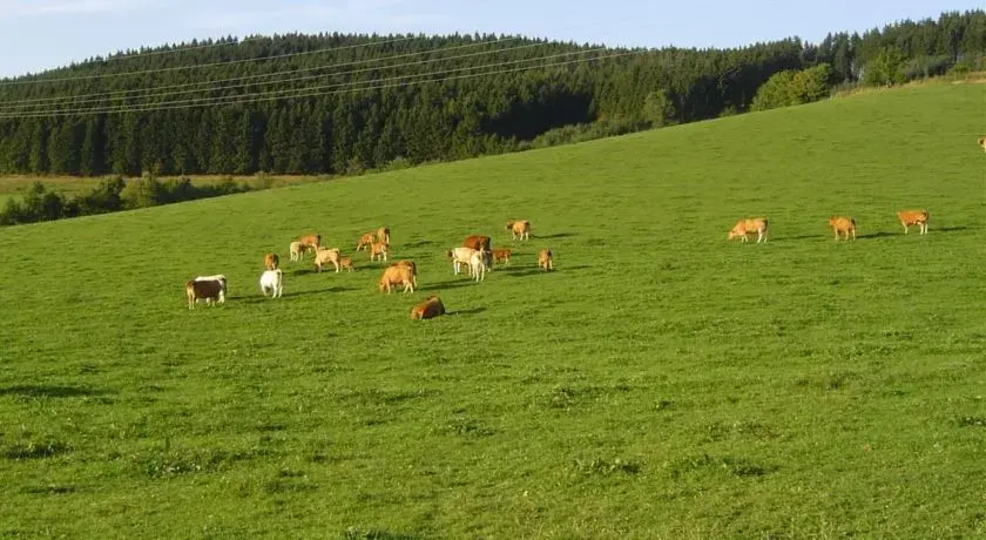 Ferienwohnung Kamitter