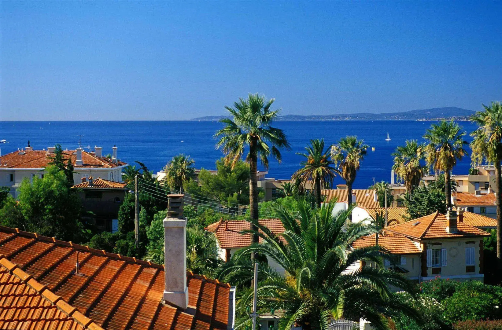 Résidence les Lionceaux by Popinns