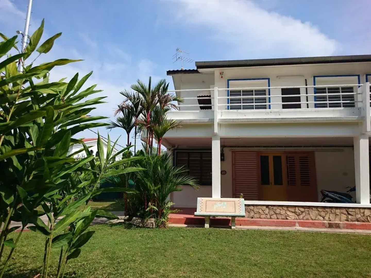 Sea Lion by the Beach