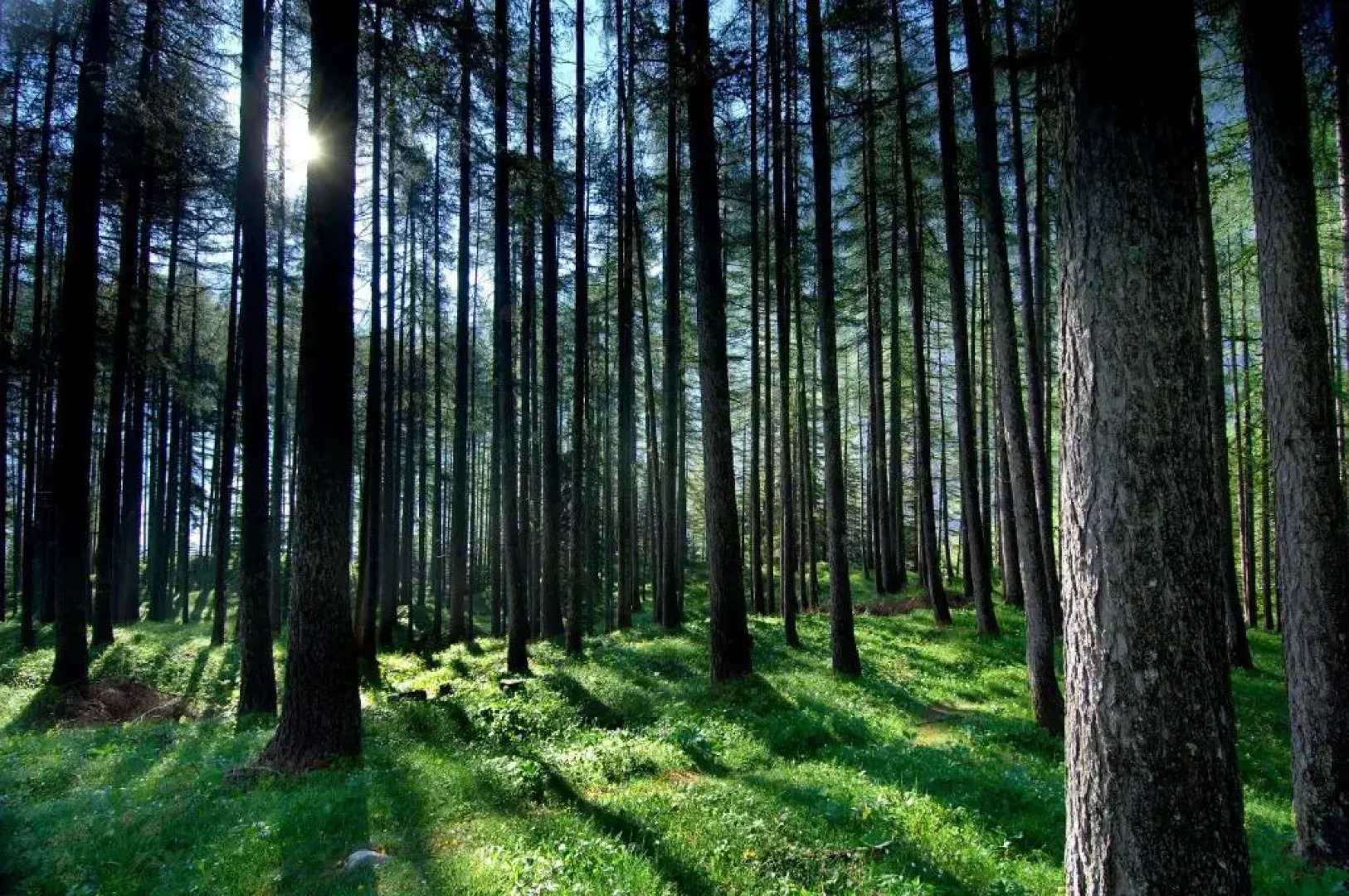 youth hostel arsviva