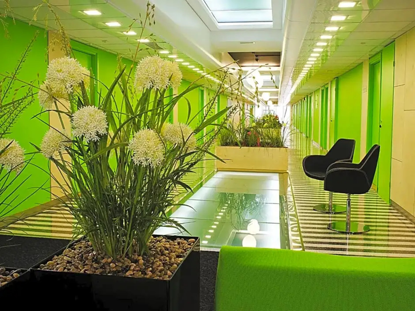 Санаторий Tervis