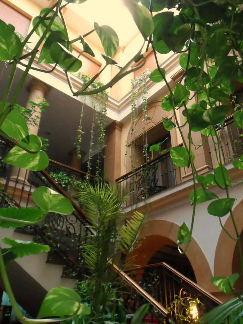 Hospedería Bodas de Camacho