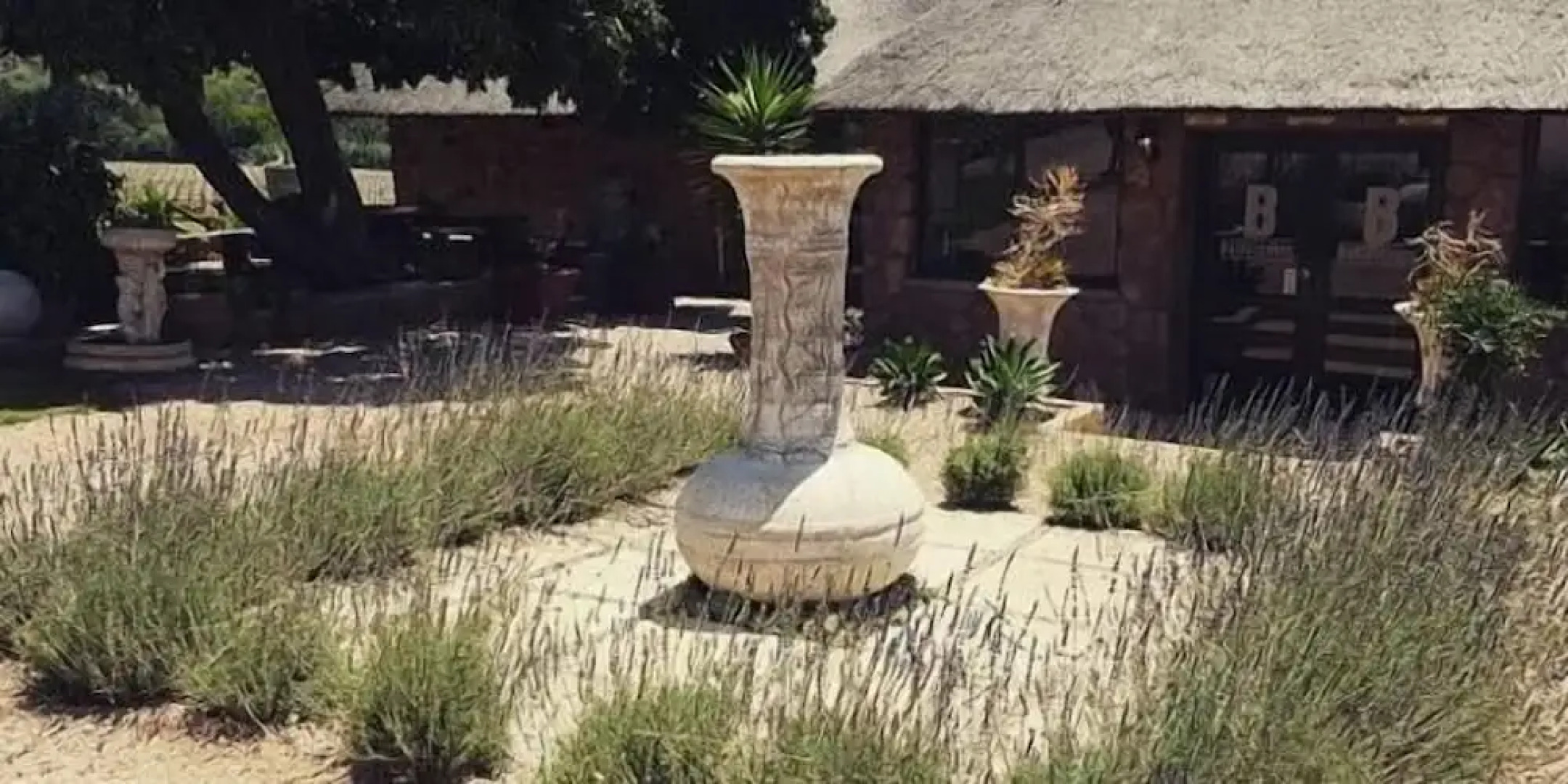 Buffelsvley Guest Farm and Klipskuur Wedding Venue