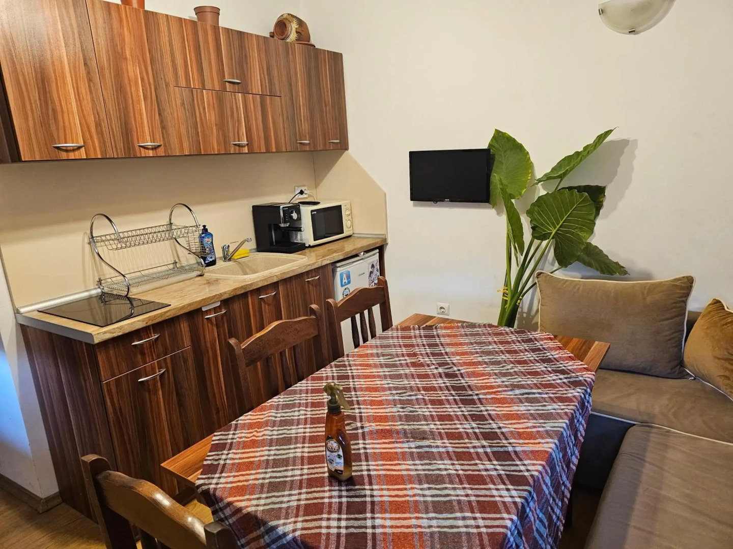 Емили Фемили Хаус