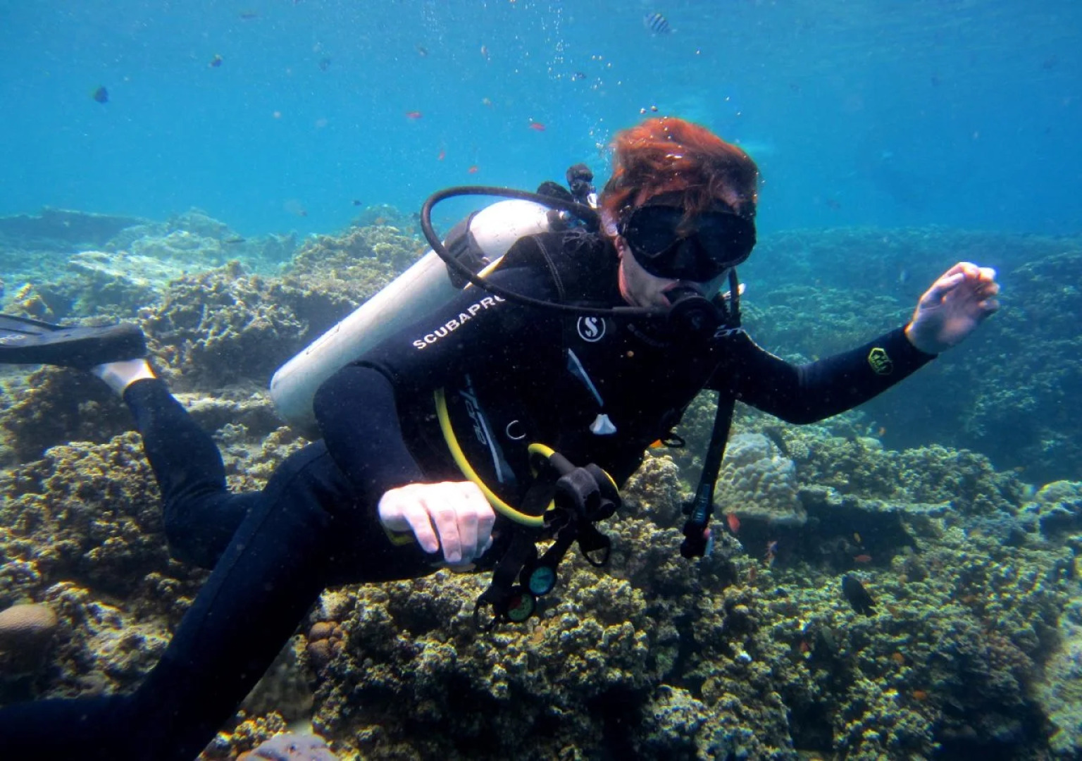 Made Taro - Menjangan Homestay