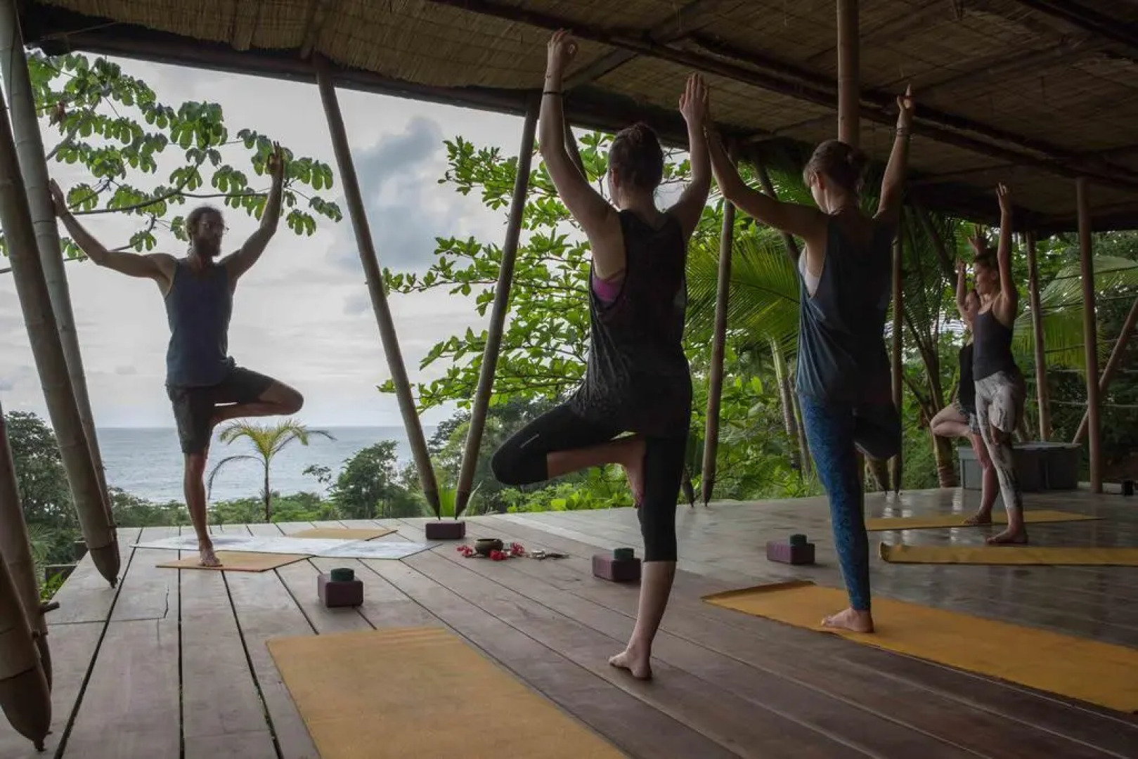 Finca Exotica Eco Lodge