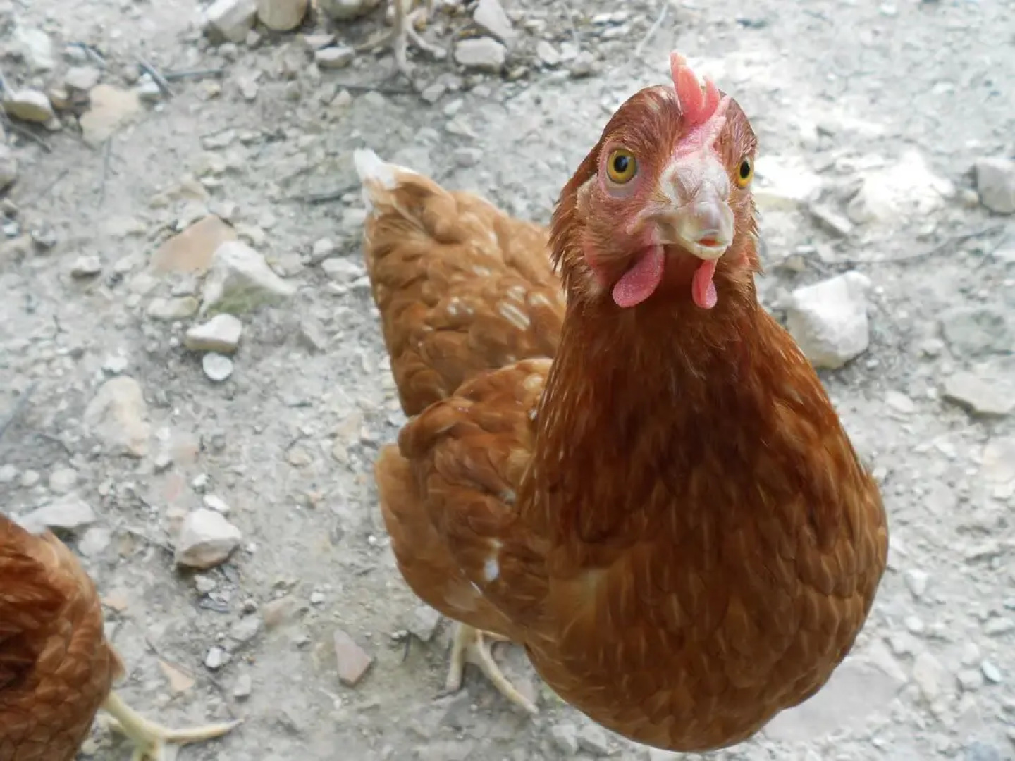 Agriturismo L'Isola Che Non C'era