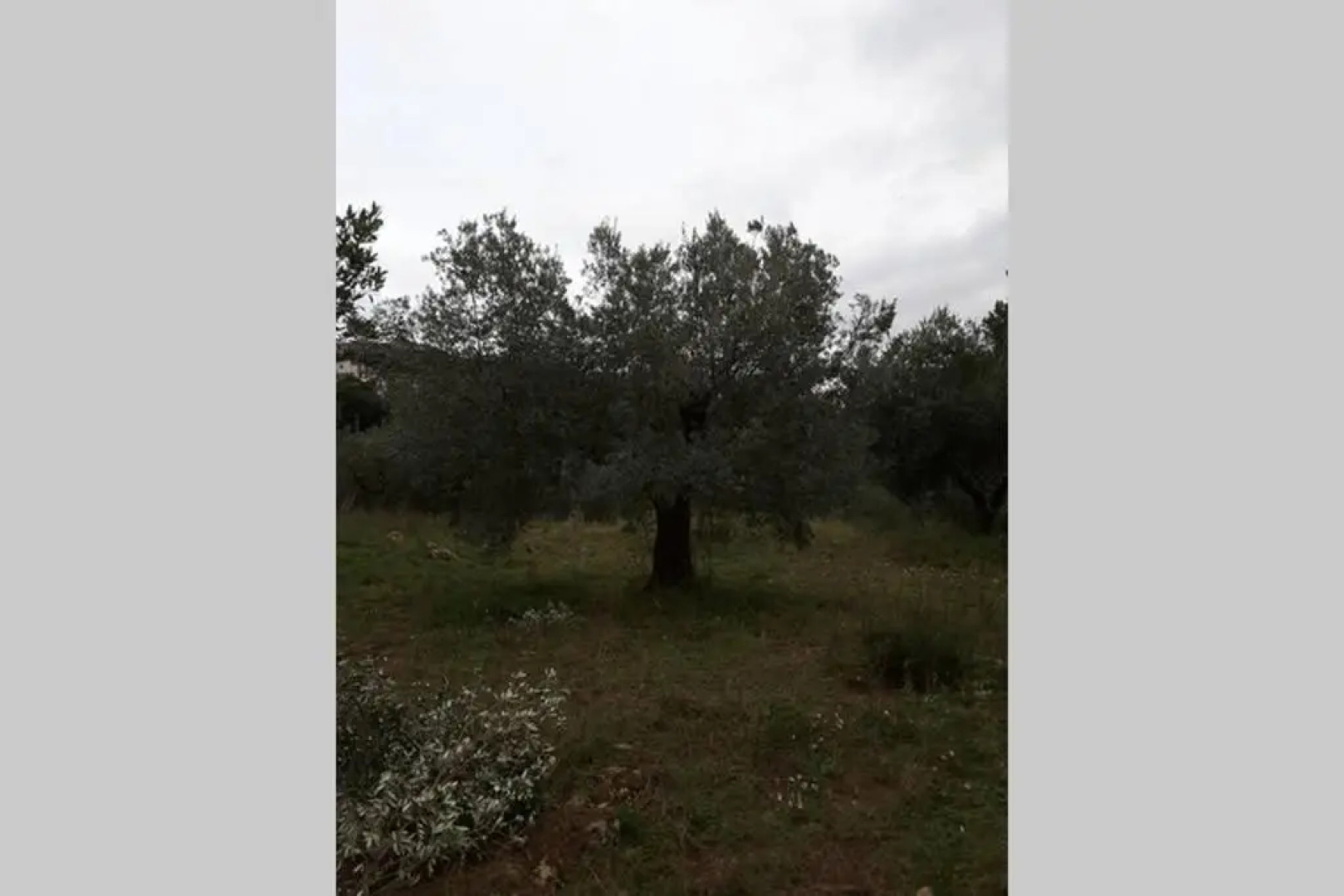 wine apartment le sedici