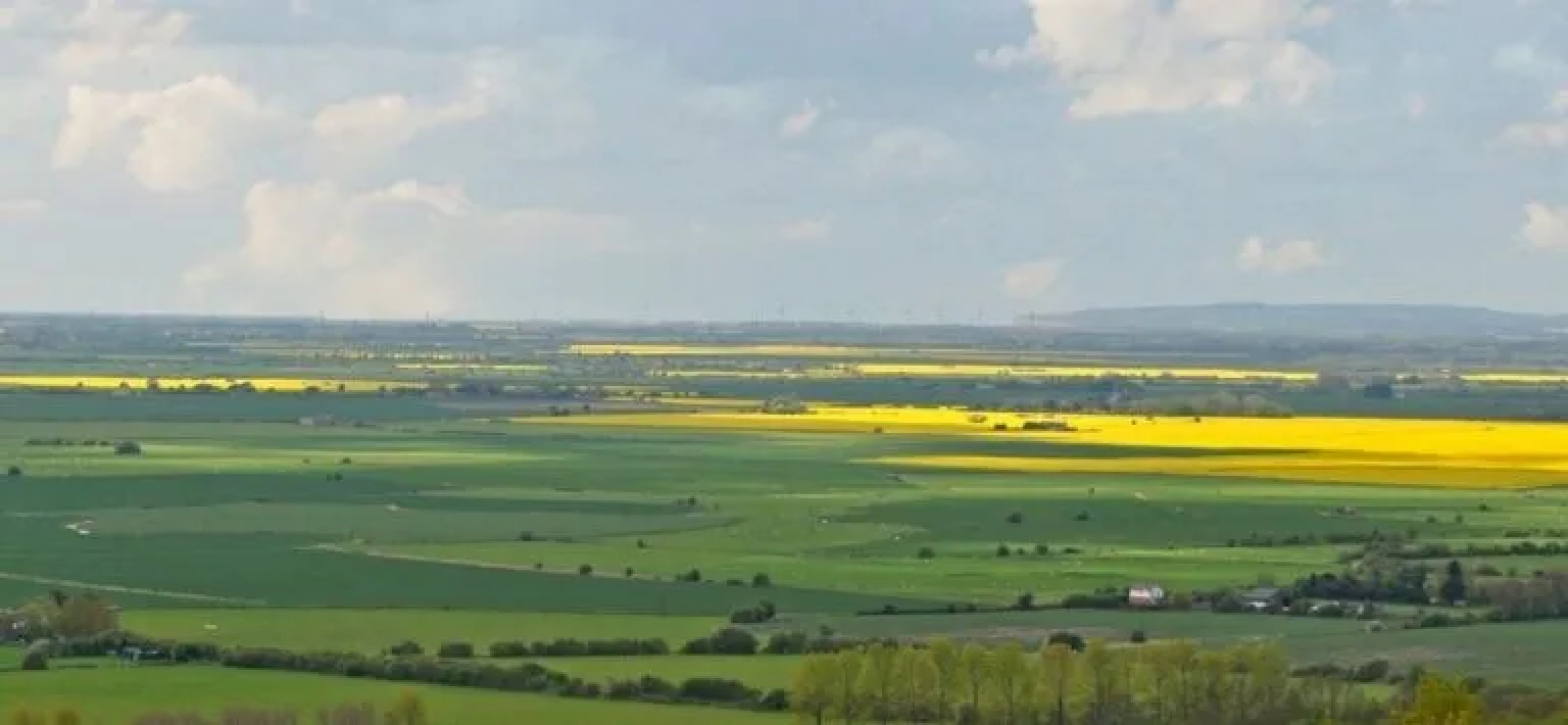Bear Lodge - Glamping