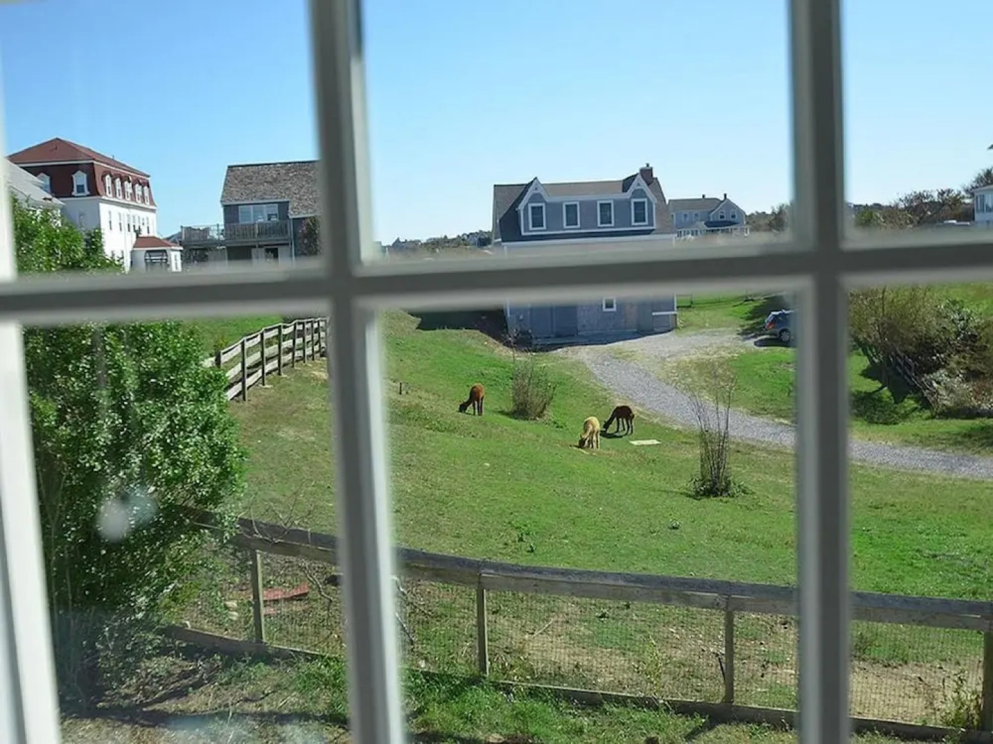 The Inn at Spring House