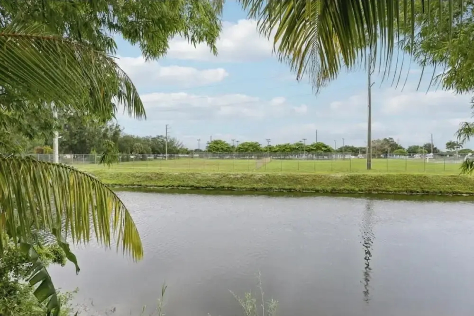 Tropical Miami Oasis