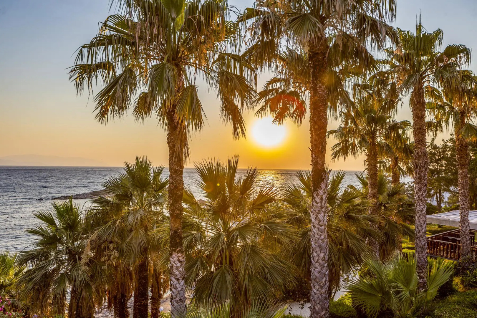 The Grand Blue Sky International