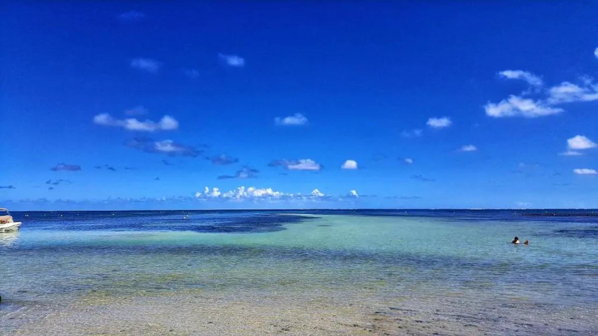 Studio Bwa Banbou dans Villa Fleurs des Iles