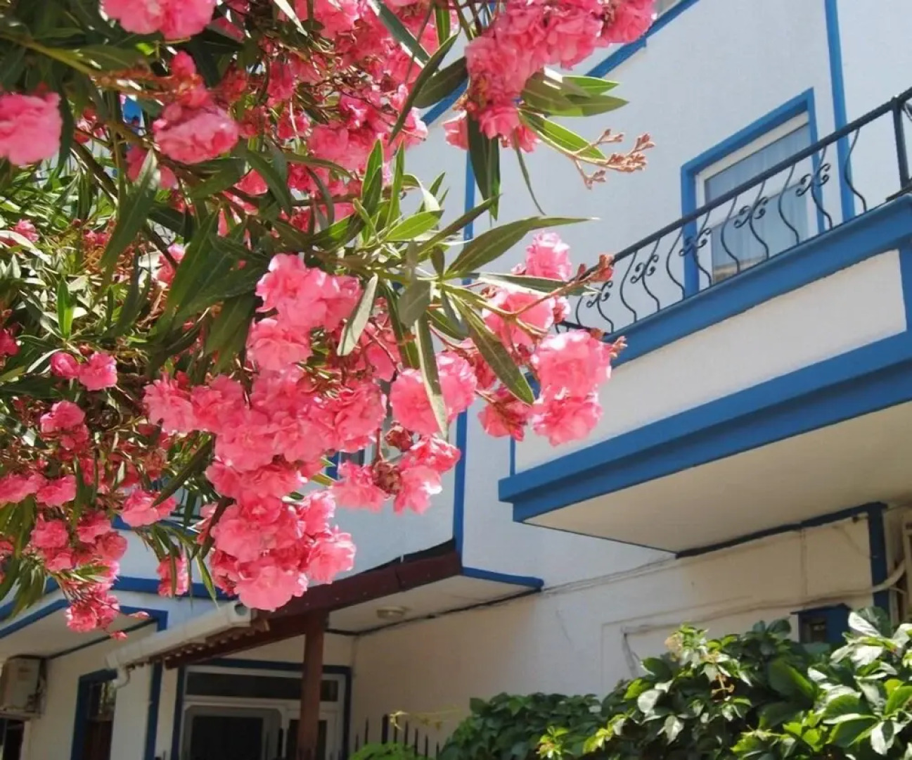 Dayanak Villa Evleri