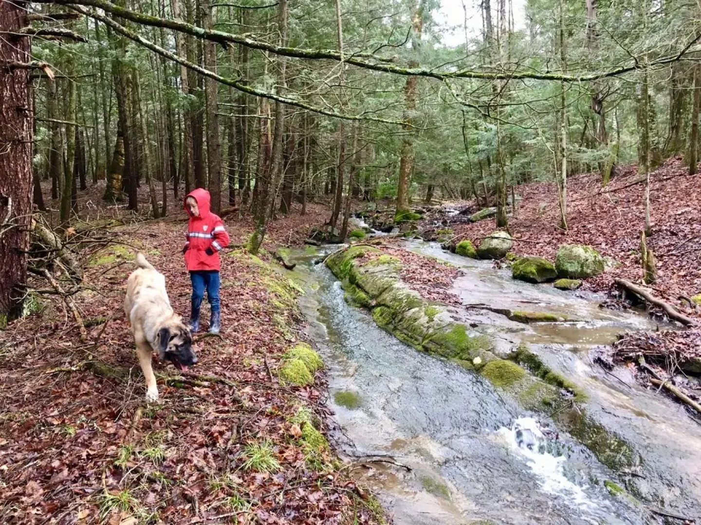 The Inn on Lake Champlain