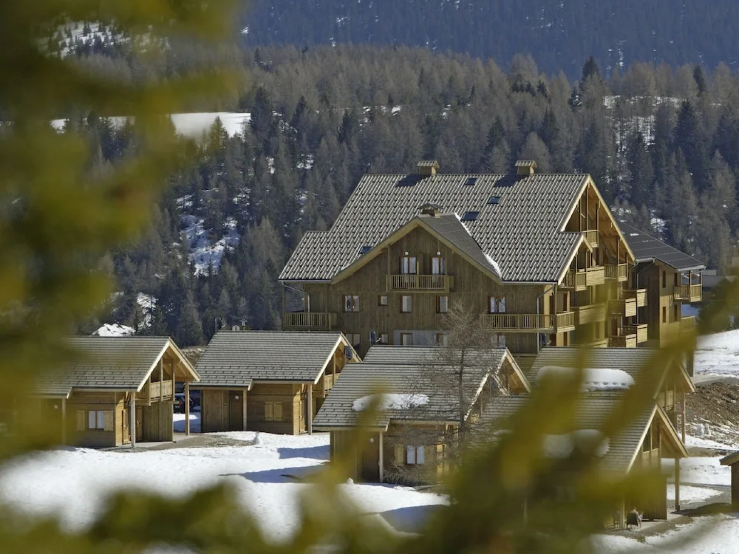 Apartment in Wooden Building in the Nice Superdévoluy