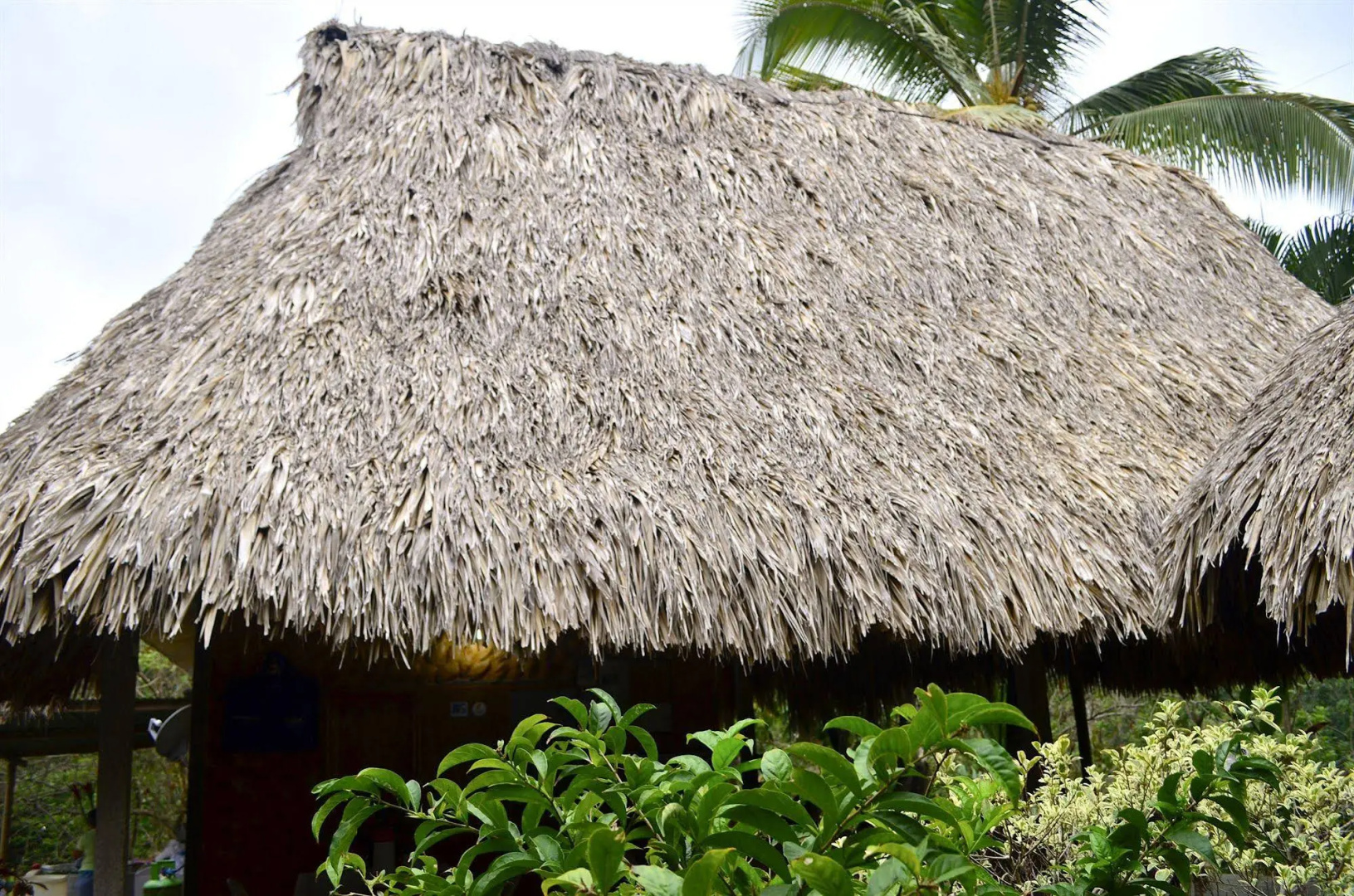 Posadas Ecoturisticas San Rafael