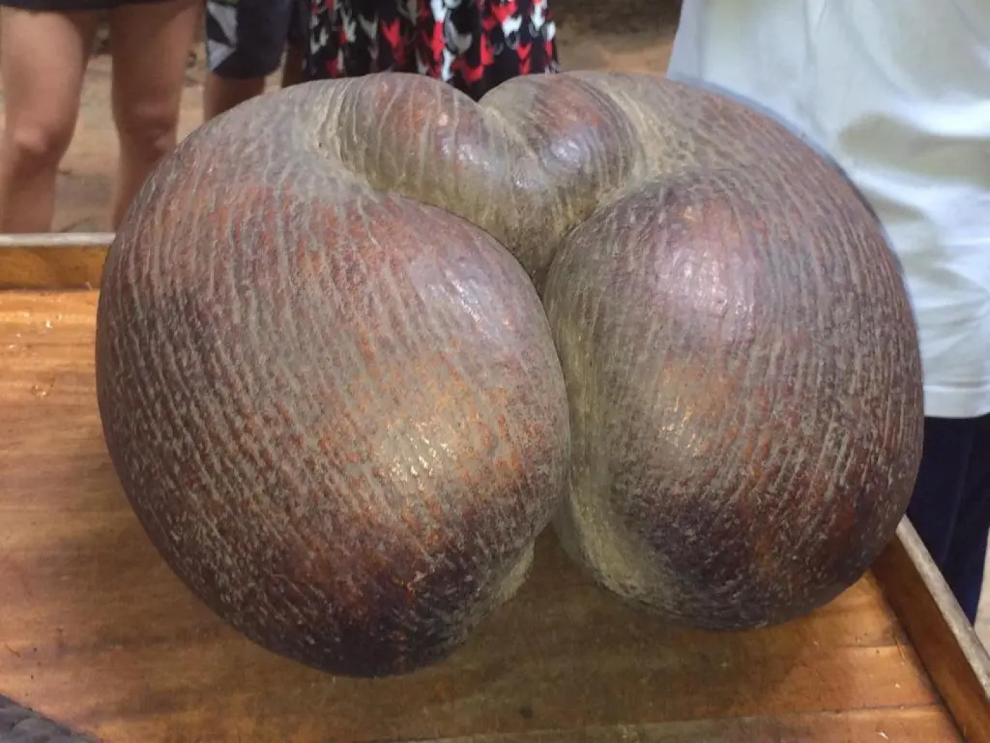 Tres Belle Villa Seychelles