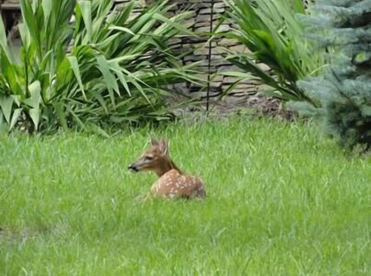 VCI - Klonteska Condominiums #A5