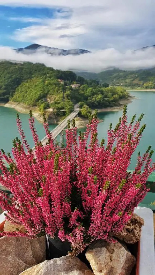 La terrazza sul lago