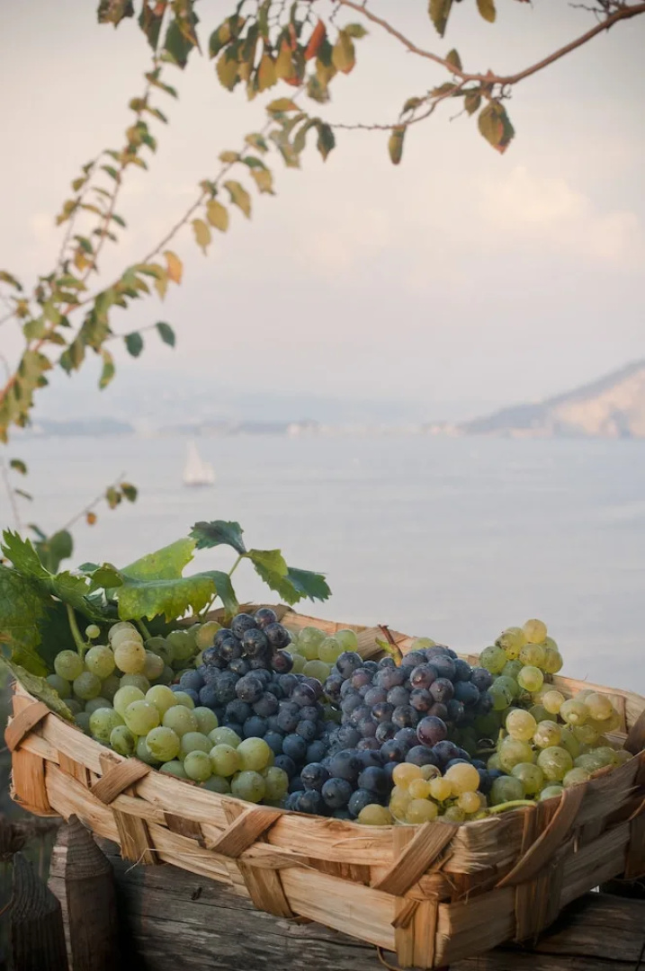 La Vigna