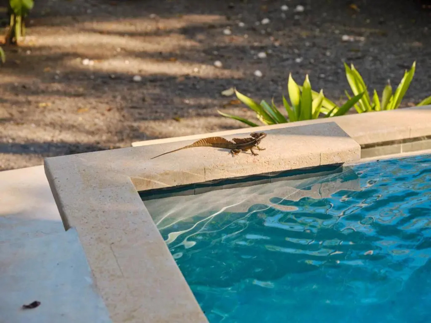 Copa De Arbol Beach & Rainforest Resort