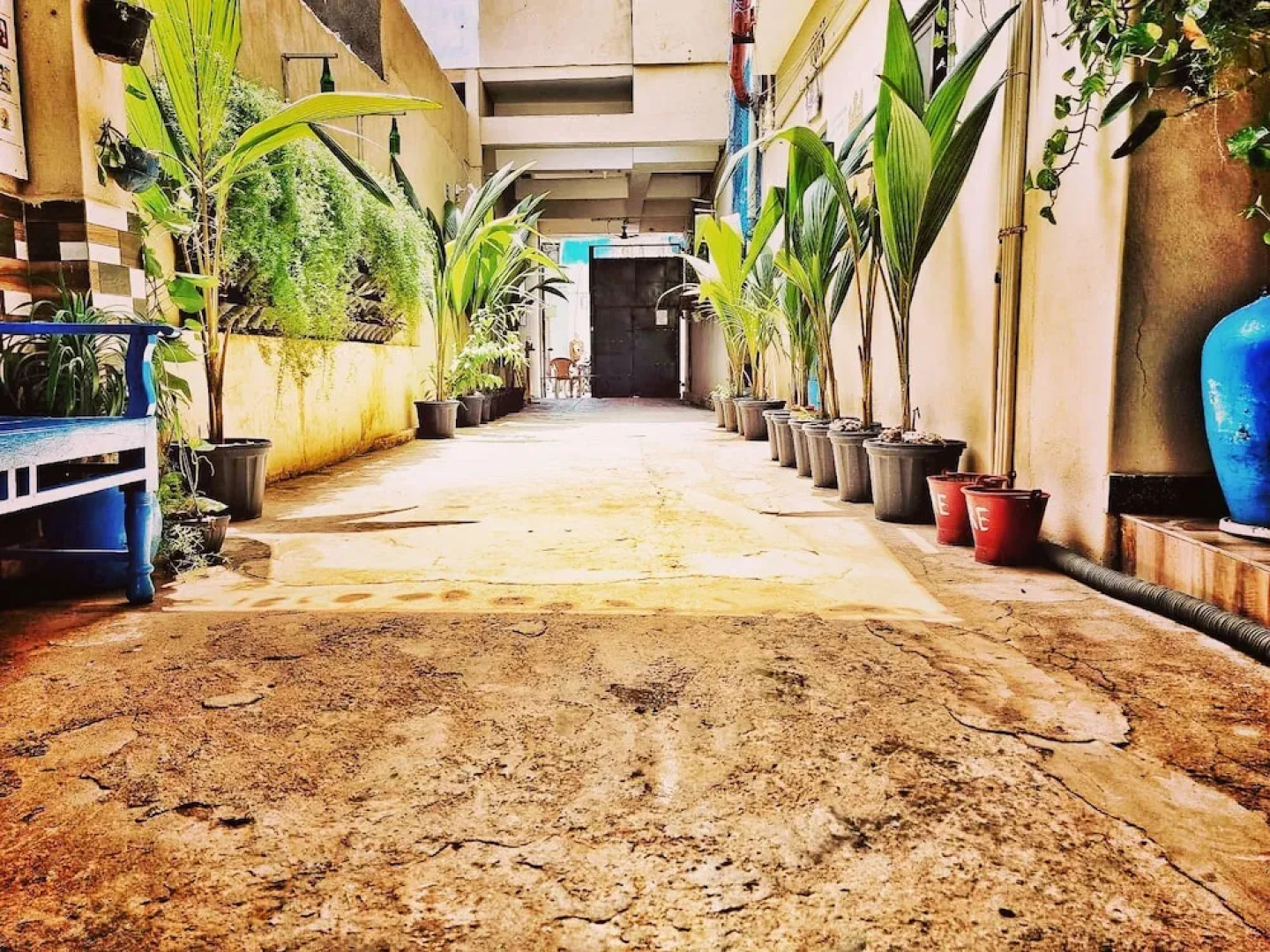 Dream Vision Guest House