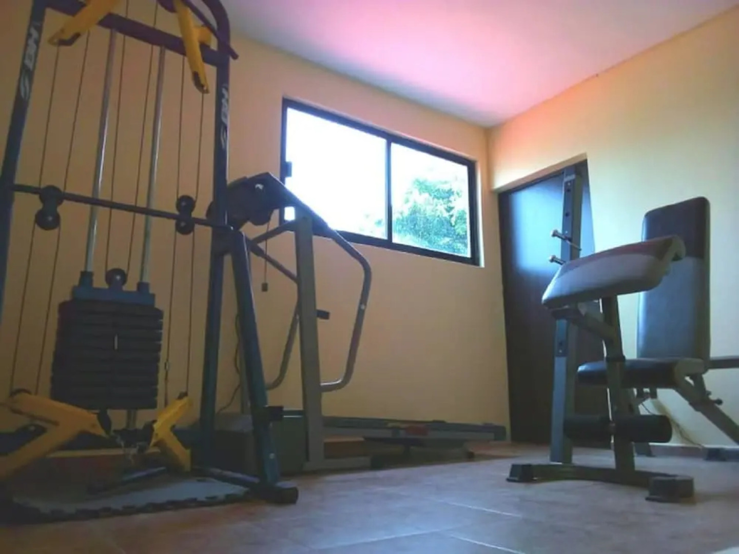 House of Ficus Banderilla,veracruz-mexico