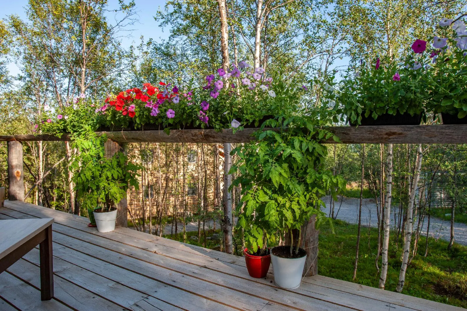 Отель Eco-home