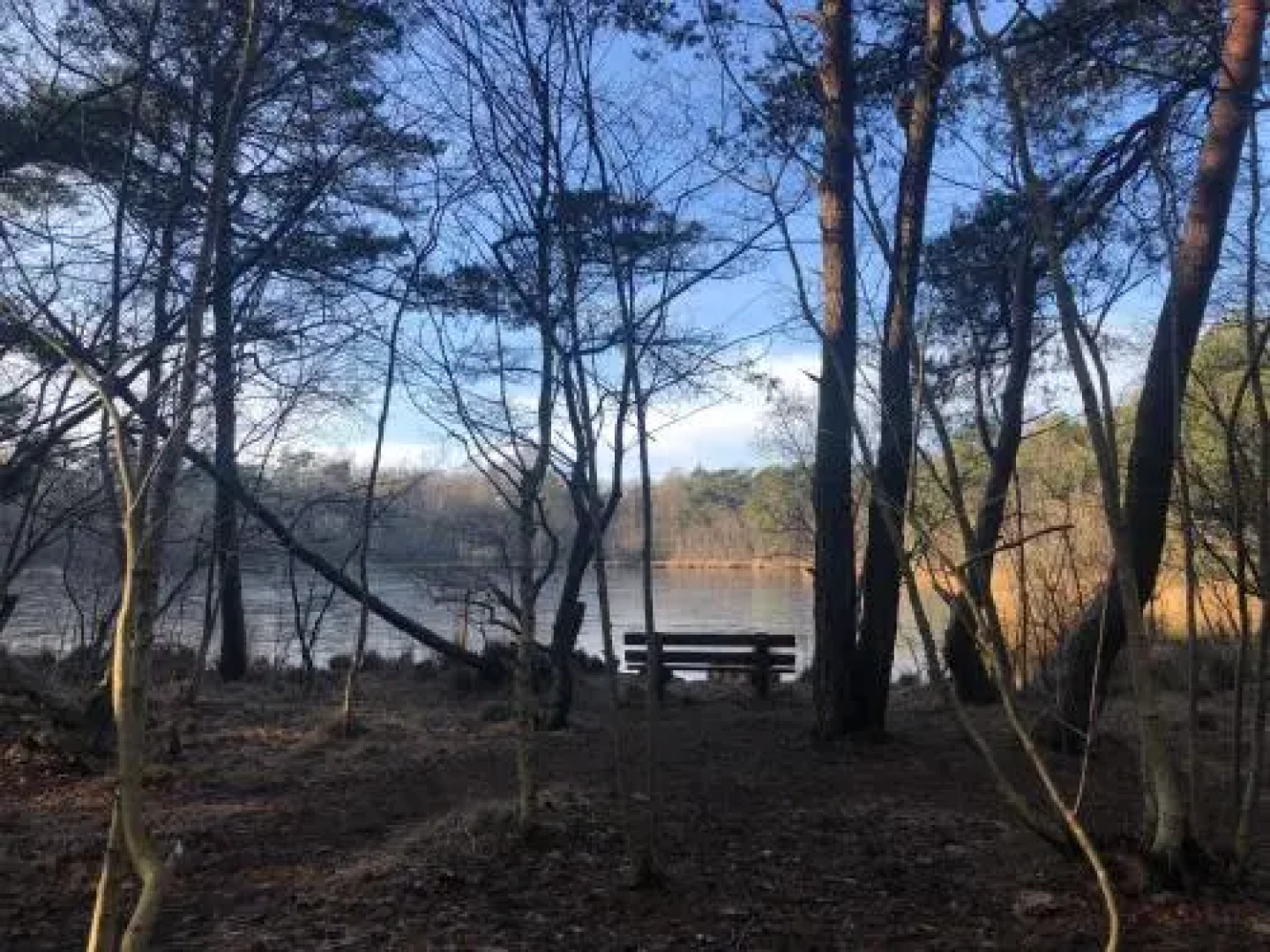 Landal De Witte Bergen