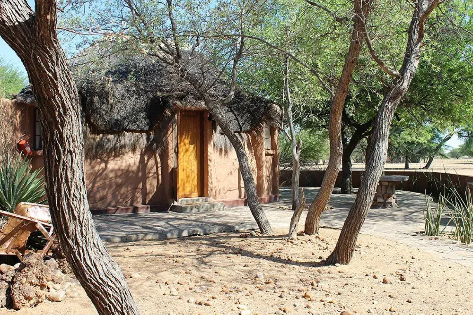 Harnas Lodge