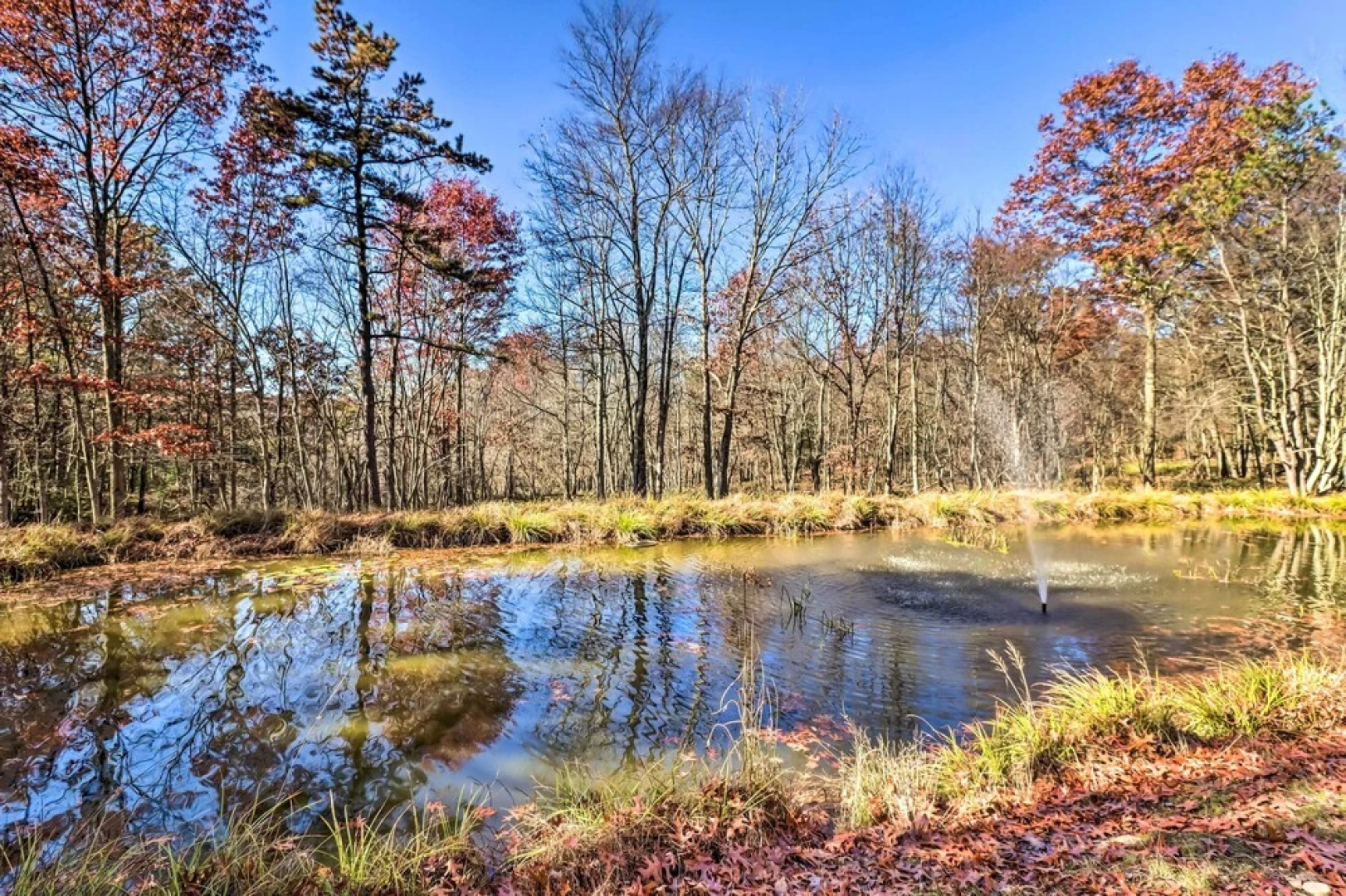 Hike, Fish & Unwind: Albrightsville Cabin!
