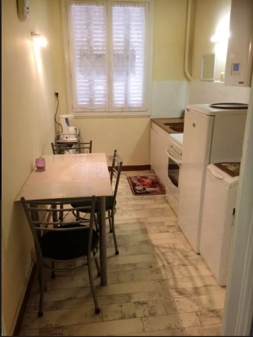 Studio In Vichy With Furnished Garden