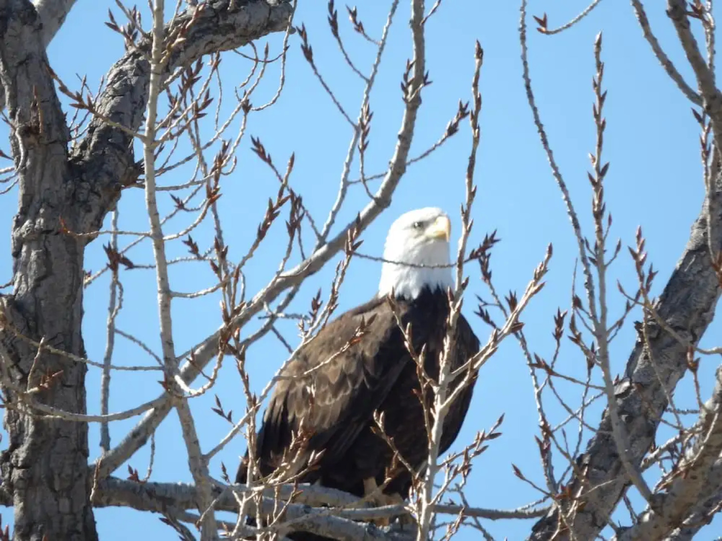 Okanagan Lakefront Resort
