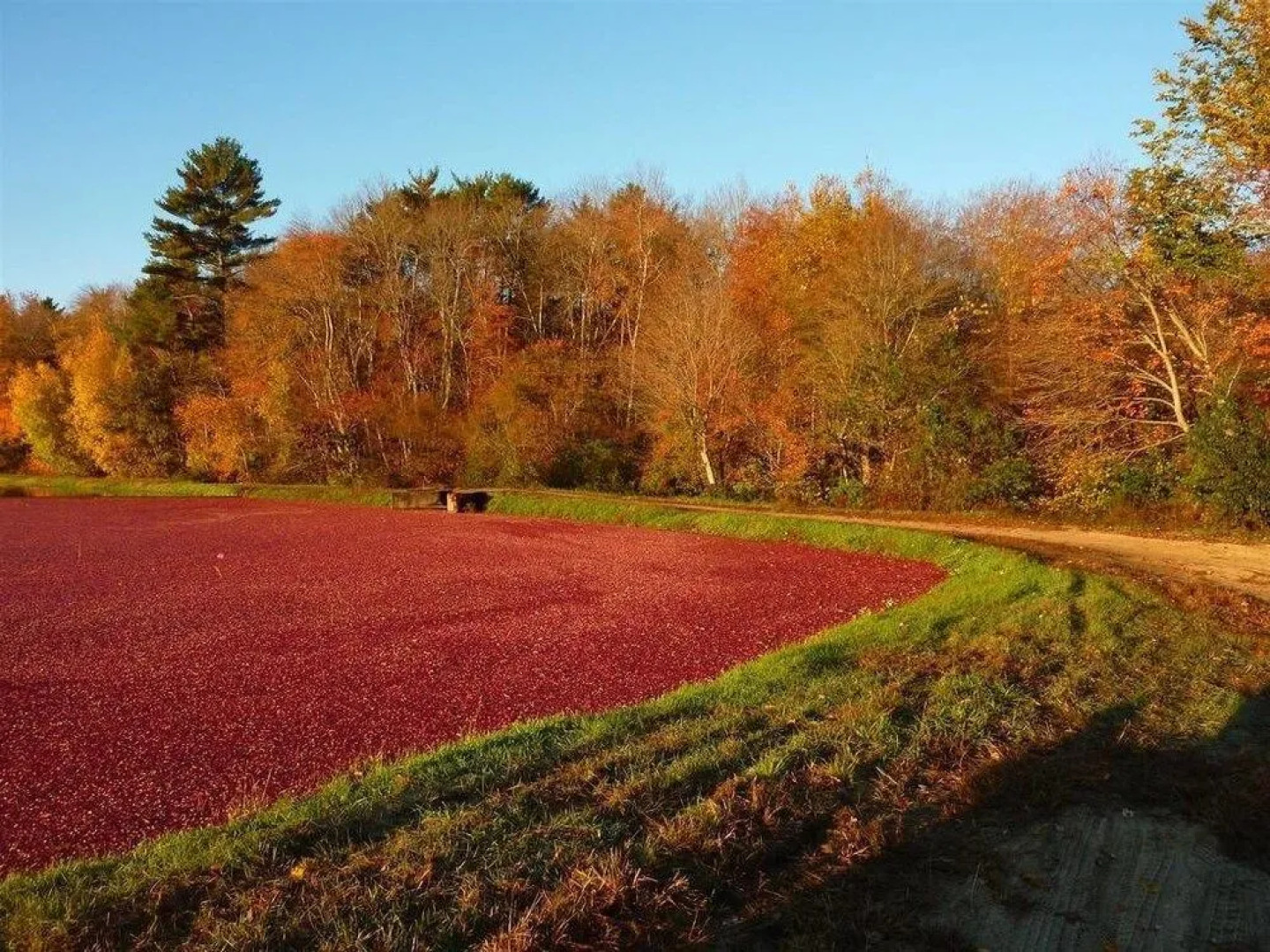 On Cranberry Pond B&B